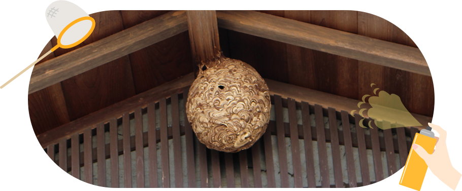 蜂の巣をスプレーや網で駆除しようとしている画像