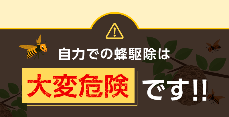 自力での蜂駆除は大変危険です！！